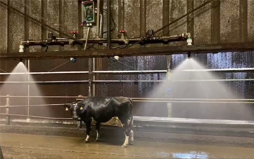 Automatic sprinkler system (2)