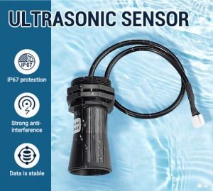 High Performance Ultrasonic Precision Rangefinder DYP-A01
